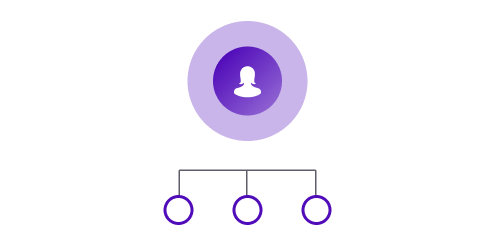 Schéma: Konsolidace